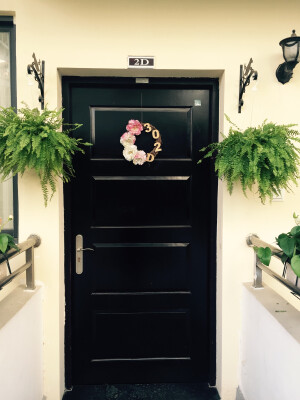 小雪·27度☀️阳台上的花开得正好