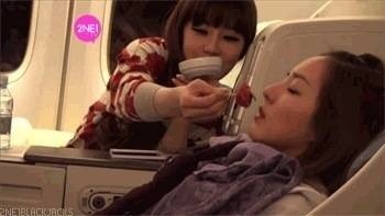 双朴双朴 朴春 bom 朴山多拉 sandara 2NE1