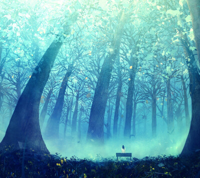 给人神秘感觉的森林