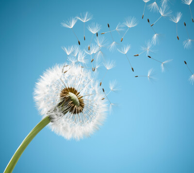 好像自己也是其中一颗飞上了蓝天