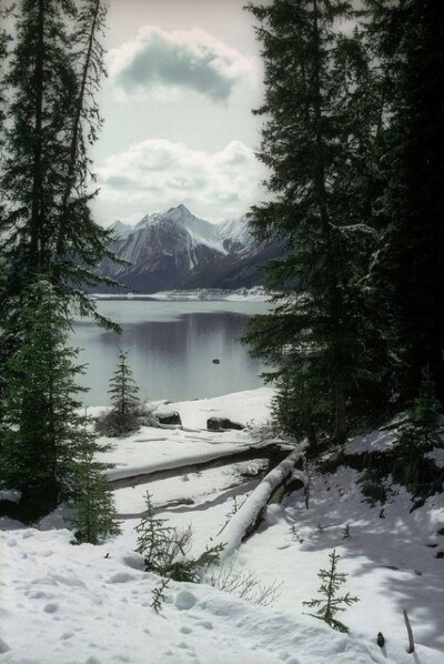 好凄美的忧伤 ~加拿大 杰士柏国家公园 巫药湖Medicine Lake Jasper 1990 | Flickr -