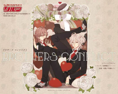 兄弟战争 brothersconflict