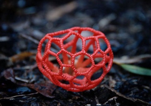 红笼头菌 Clathrus ruber