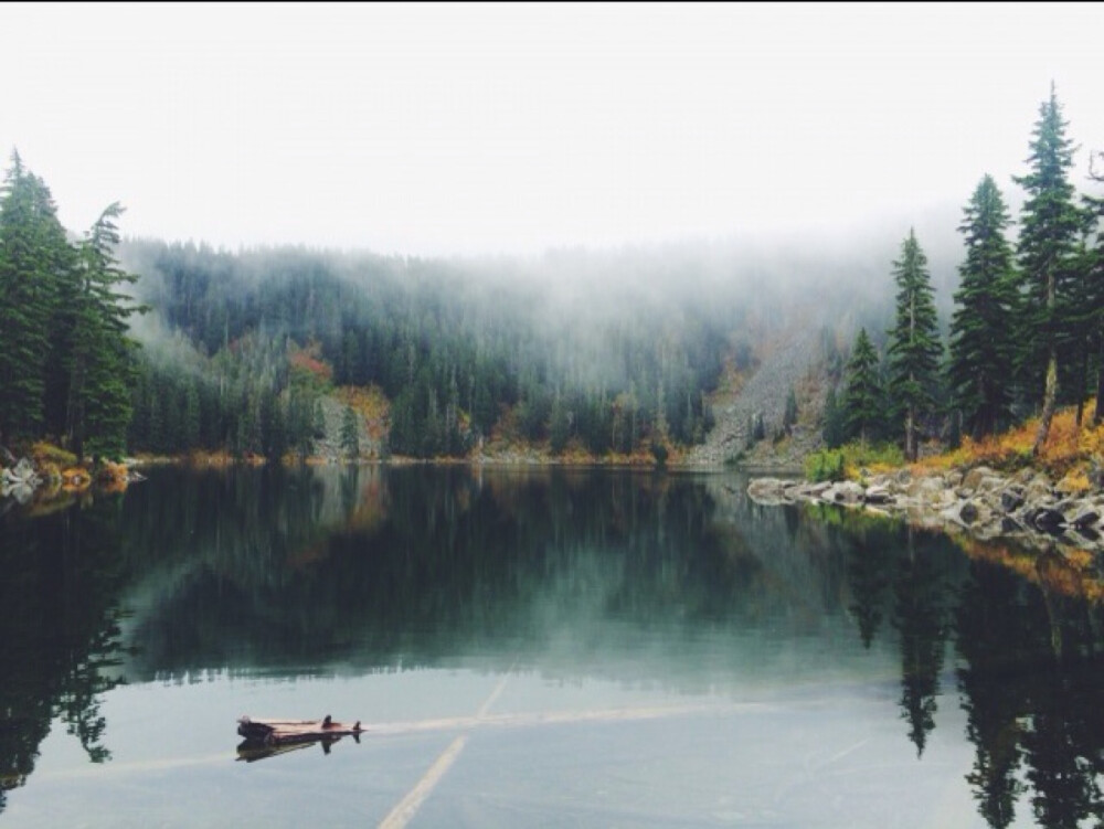 Mist on Mason Lake by maryhstratton