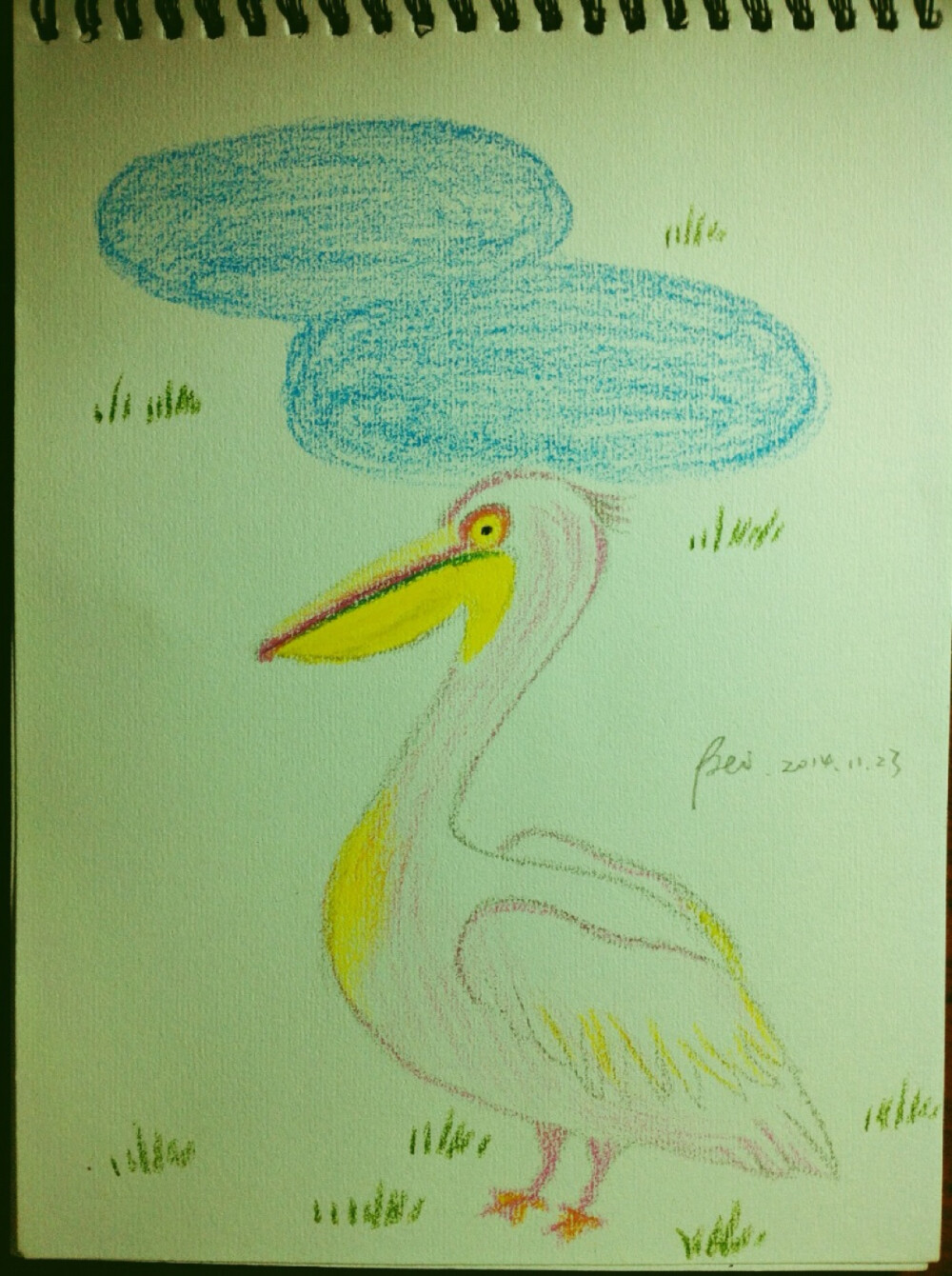 ＜可爱的鹈鹕＞蜡笔画。儿童画。手绘。美术。图片