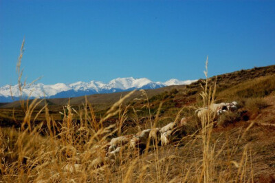 秋 北山牧场