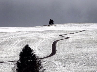 德国雷腾巴赫，时区[+1小时]。降雪为大片田地覆上银装，道路从中蜿蜒划过。摄影师：Karl-Josef Hildenbrand