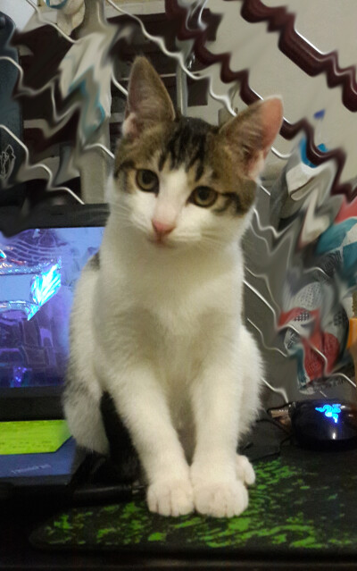 非常认真的建议 不要再lu啦 ---by姬汤