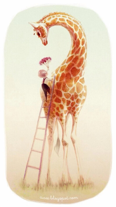 不知为什么能触动我心底那一丝柔软。