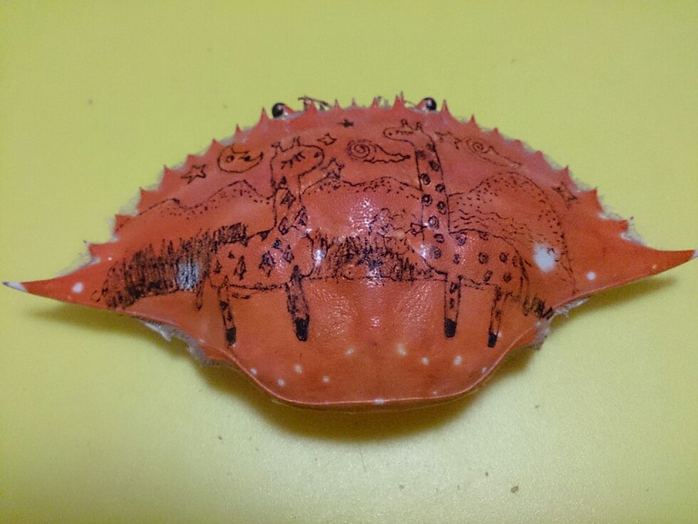 螃蟹壳作画图片图片