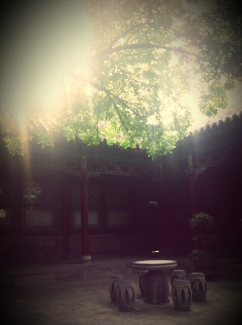 守得伊人空憔悴