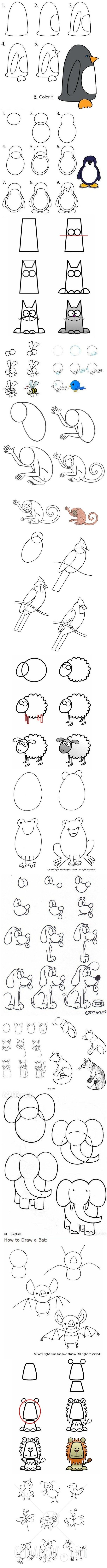 how to draw animals