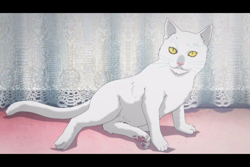 《少年同盟》的导演一定是个猫控，里面的喵太有爱了。