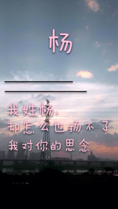 我姓杨