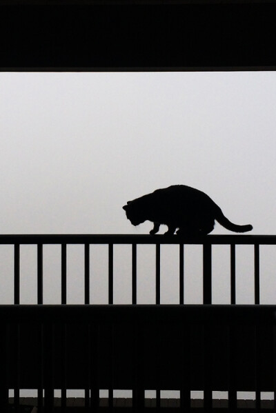 如果 你能理解我的孤独