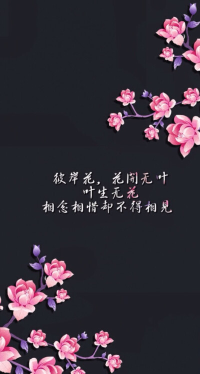 文字，句子，iphone壁纸，桌面，摄影，文艺 【一字一句，哼哼唧唧】