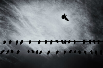 需要的仅仅只是为自己插上梦想的翅膀