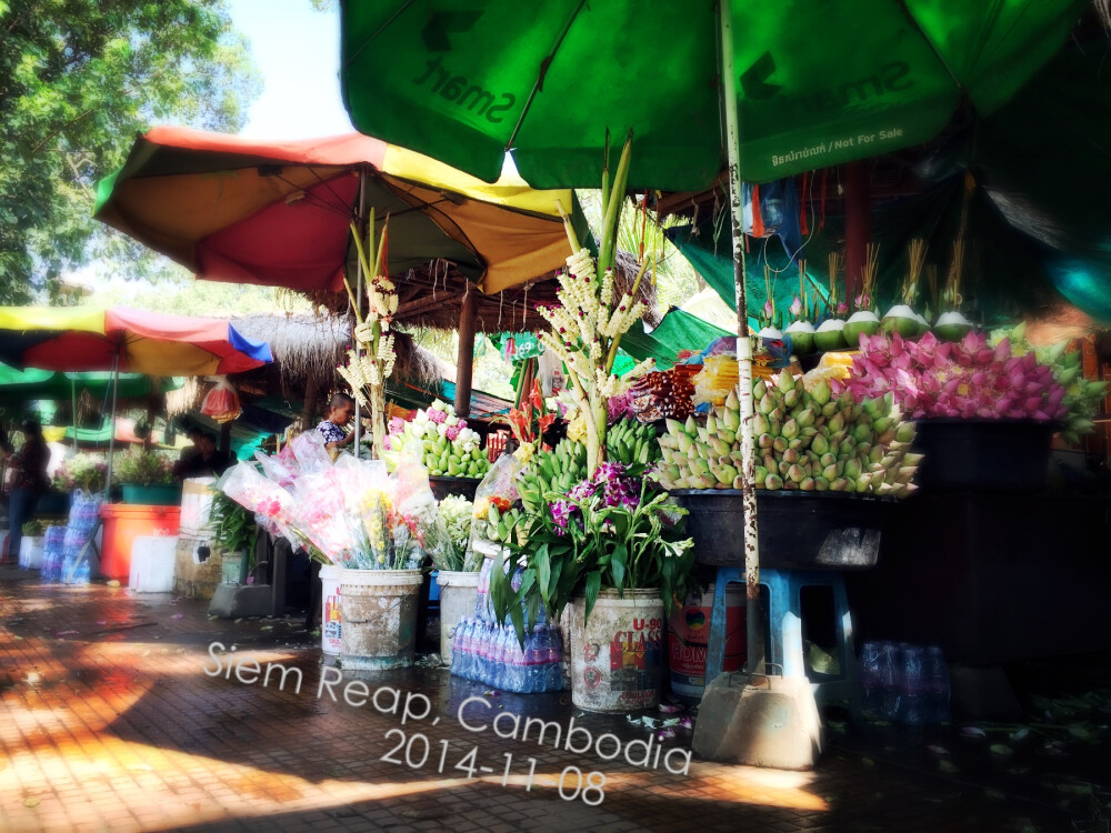 暹粒的花卉市场