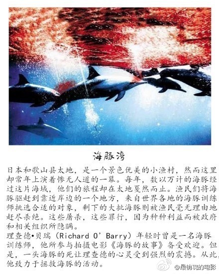 9部堪称神作的纪录片，令人着迷，值得一看