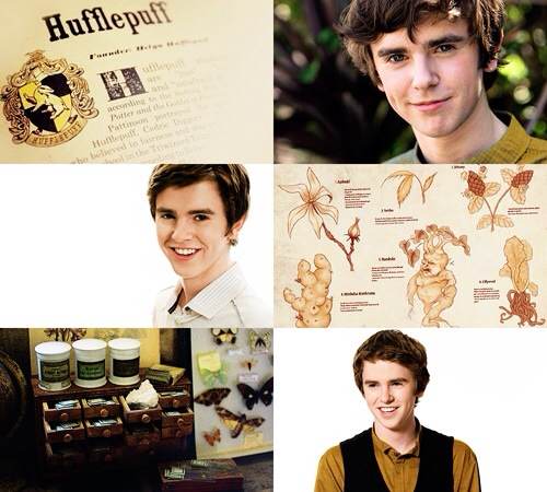 Freddie Highmore