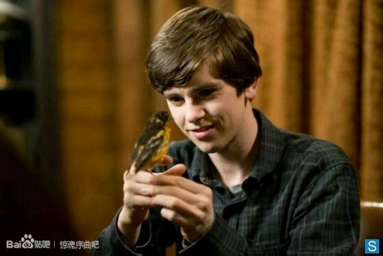 Freddie Highmore