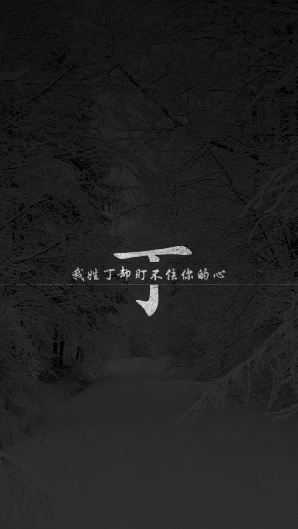 我姓丁 却盯不住你的心 - 堆糖,美图壁纸兴趣社区