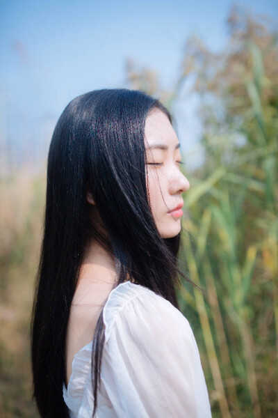 蒹葭苍苍，白露为霜。