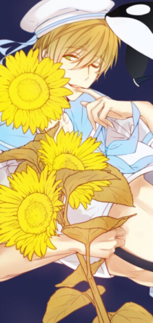 Free。橘真琴。真琴大天使。