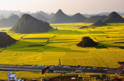 意外的风景---中国油菜花海