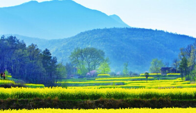 意外的风景---中国