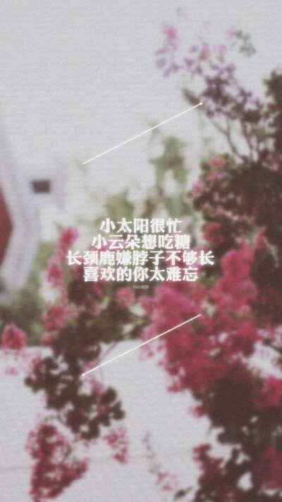 iphone壁纸 文字控 小太阳很忙小云朵想吃糖长颈鹿嫌脖子不够长喜欢的你太难忘