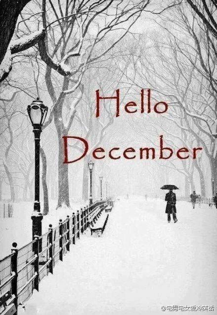 hello december