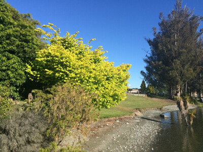 River side and nice sunshine 