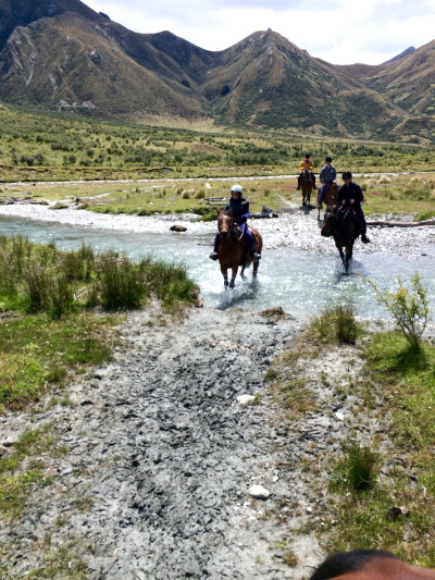 Moke Lake Trek 原来Moke是小驴的名字 哈哈哈真可爱昂