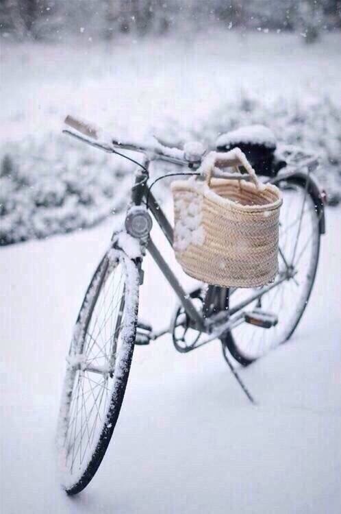 想念北国的雪，和那专属于冬天的气节。