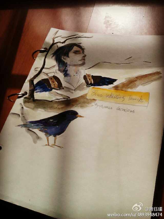 森林都记得 扫把