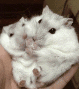 兄弟 这是我的脚趾头