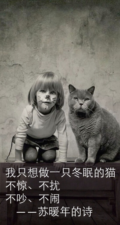 我只想做一只冬眠的猫 不惊、不扰 不吵、不闹 ——苏暖年的诗