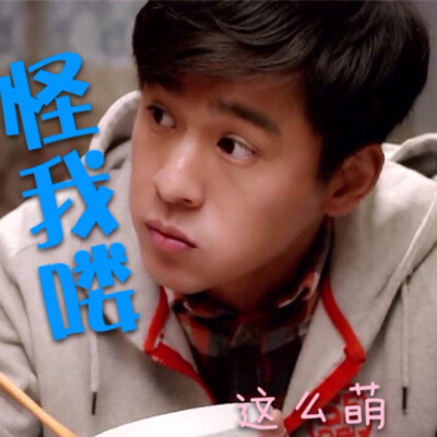 【乔振宇】怪我喽