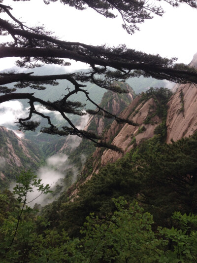 黄山景色实拍～