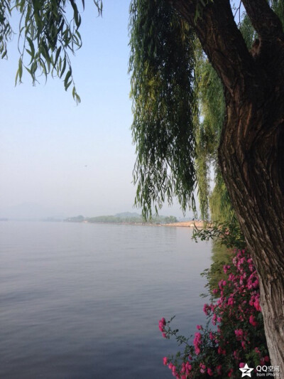 杭州西湖风景实拍～