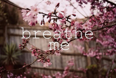 输入法 皮肤 breathe me By MrJuno