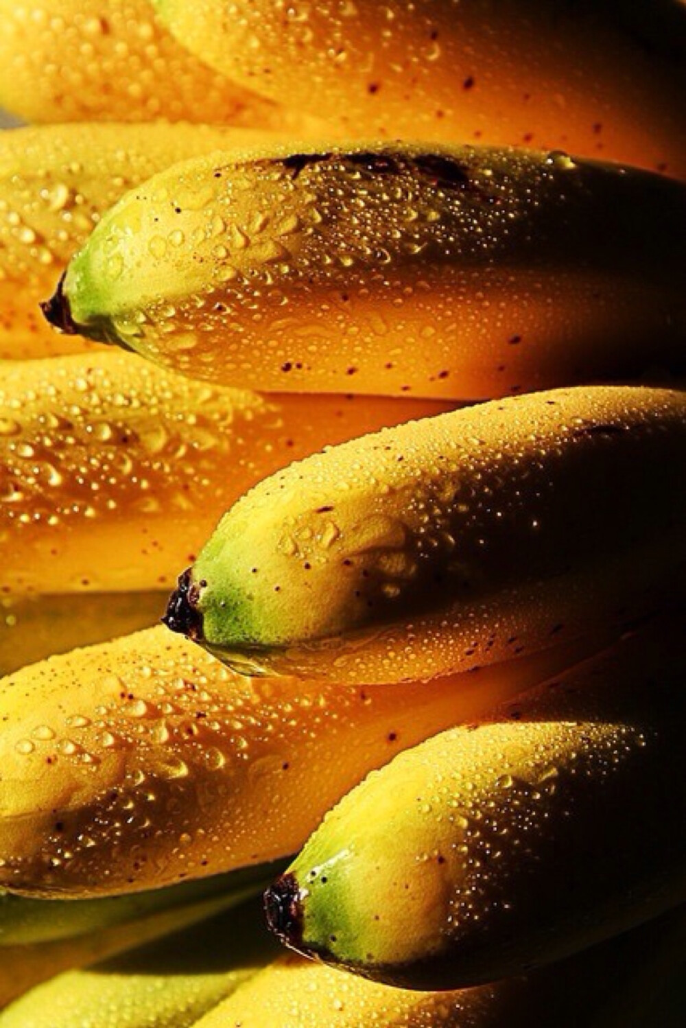 食物文艺香蕉