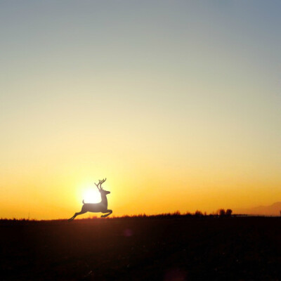 还没来得，也许正在路上