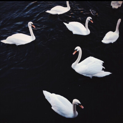 我并不完美，幸好你也不挑剔