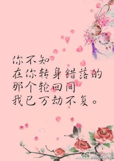 花千骨