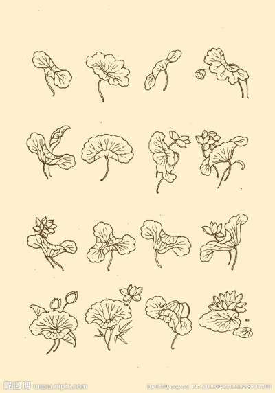 收集荷花纹样