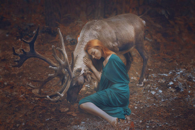 Katerina Plotnikova Photography