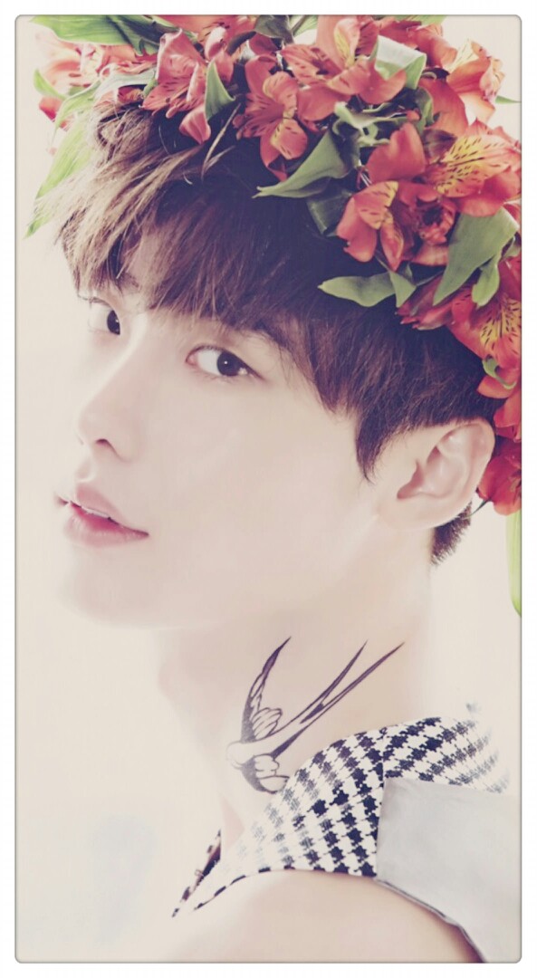 壁纸可爱李钟硕