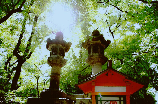 延伸到本殿,八阪神社的常夜灯。